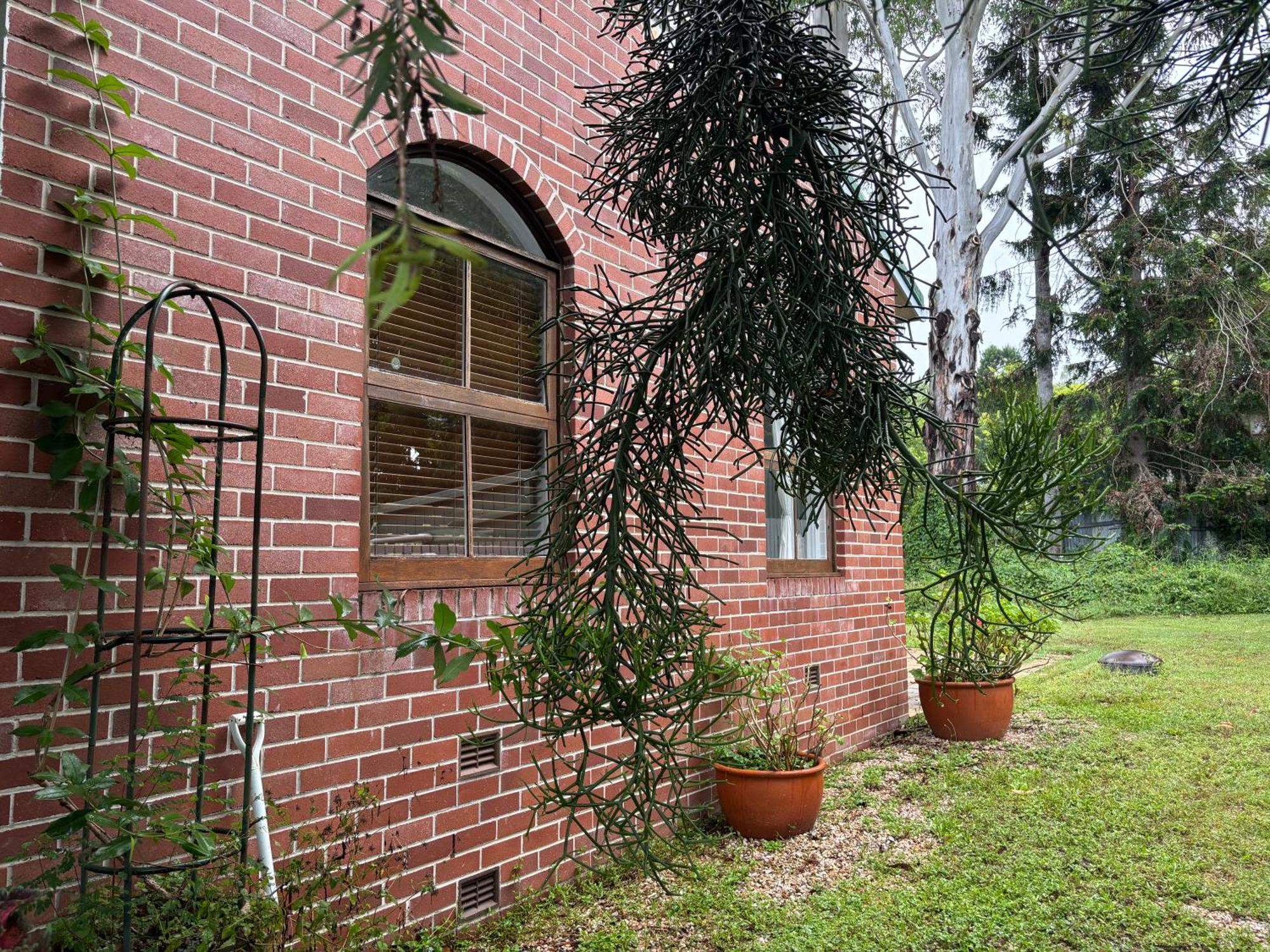 Celestial Dew Guesthouse In Tyalgum ภายนอก รูปภาพ