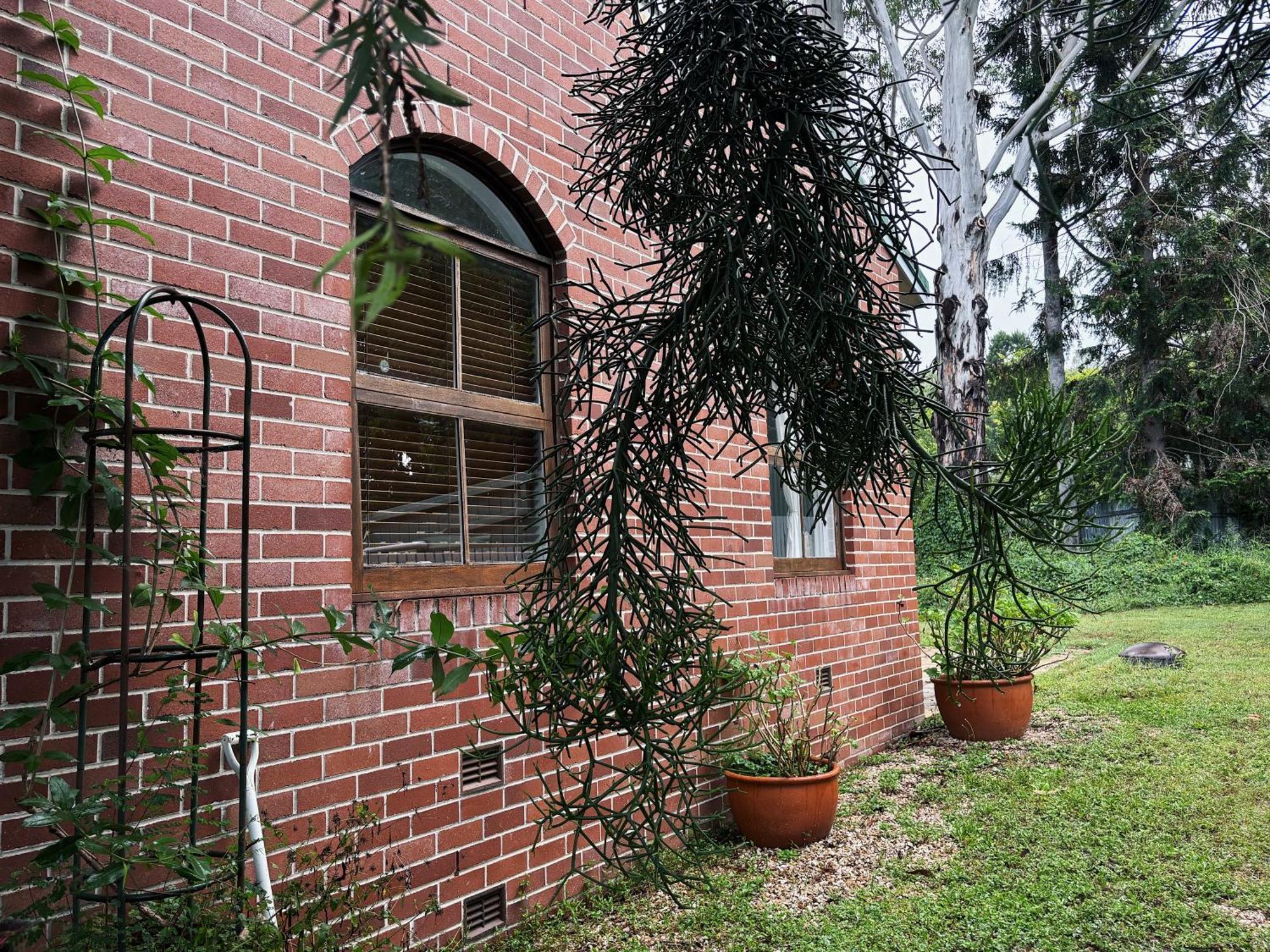 Celestial Dew Guesthouse In Tyalgum ภายนอก รูปภาพ