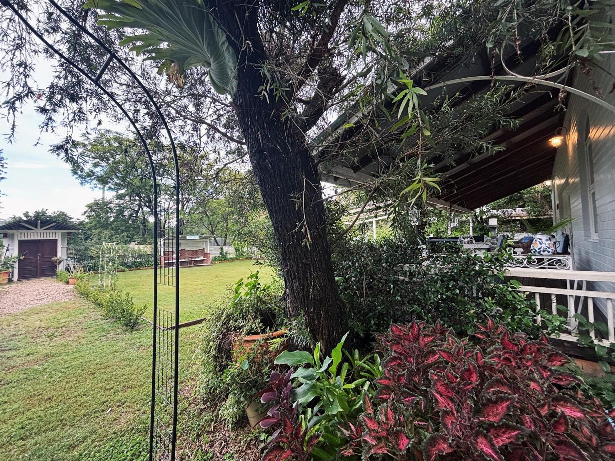 Celestial Dew Guesthouse In Tyalgum ภายนอก รูปภาพ